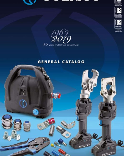 thumbnail of CEMBRE 2019_EN_compressed